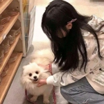 失落的古墓最新版下载
